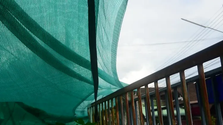 20260325Benefits Of Installing Green Shade Net.png 20260325Benefits Of Installing Green Shade Net.png